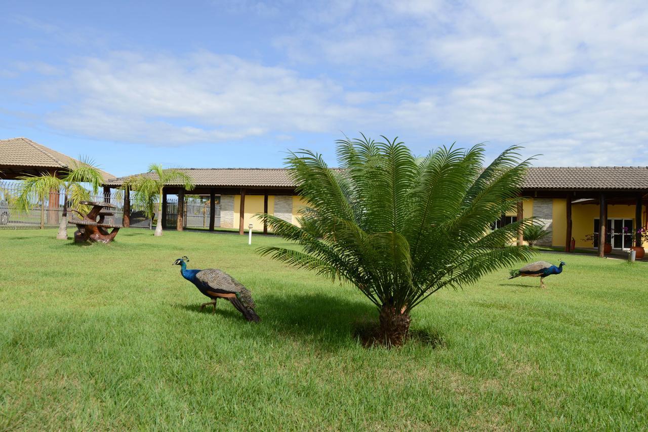Pousada Haras Santa Rita Poconé Dış mekan fotoğraf